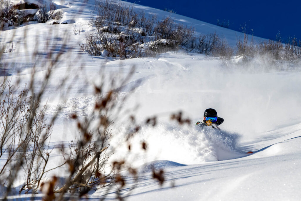 MAJESTY Vanguard Carbon freeride backcountry skis big snow